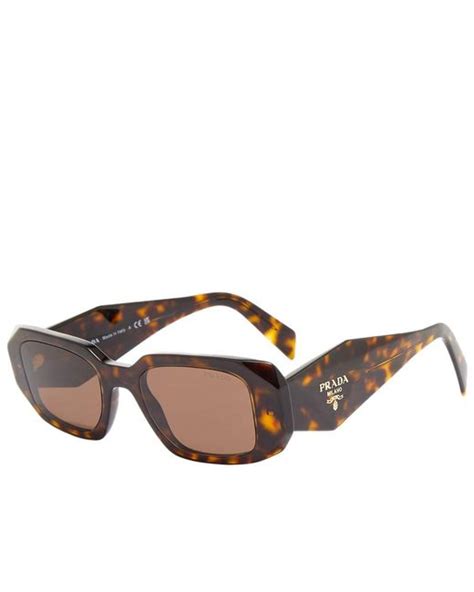 pr14ws prada|prada pr17ws sunglasses tortoise brown.